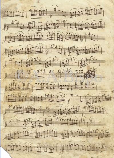 Trecho da Batalha de Estero Bellaco de M. Ferreira de Andrade oferecida a Dom Pedro II.Acervo A.A.Bispo. Copyright