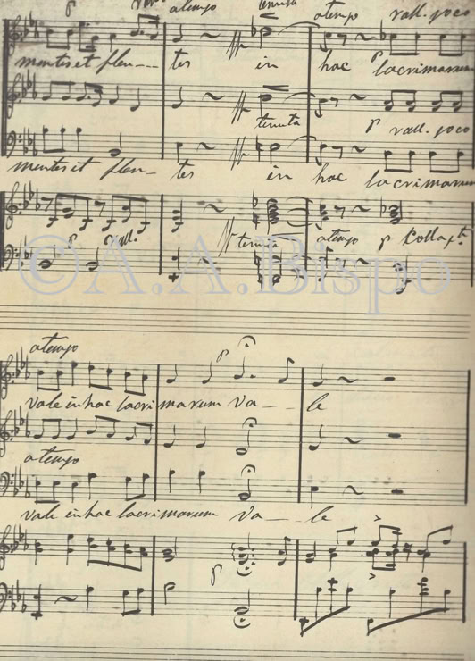 In hoc lacrimarium vale. Salve Regina de Tristão Mariano da Costa. Acervo A.A.Bispo. Copyright