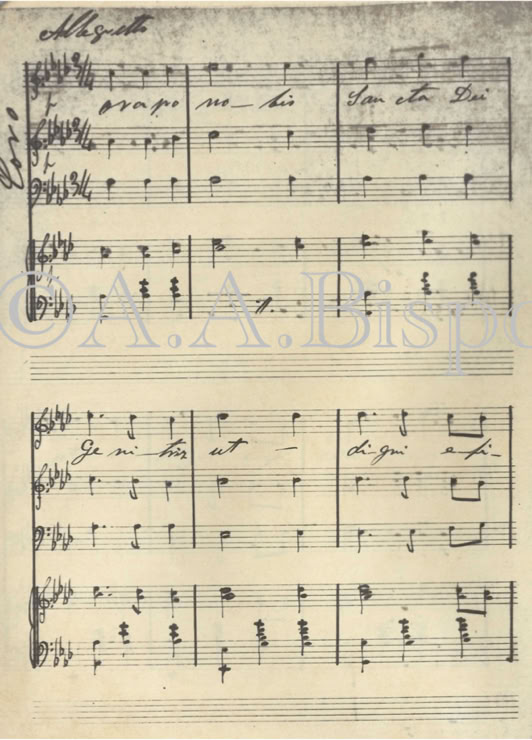 ora pro nobis. Salve Regina de Tristão Mariano da Costa dedicado a Leão XIII. Acervo A.A.Bispo. Copyright