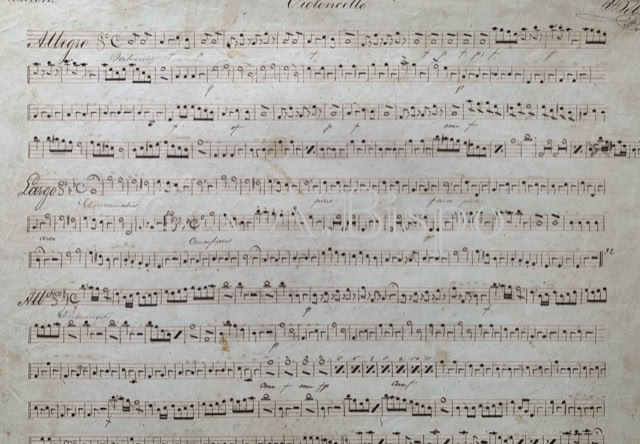 Violoncelo do Credo de Fortunato Mazziotti de 1837. Acervo A.A.Bispo. Copyright