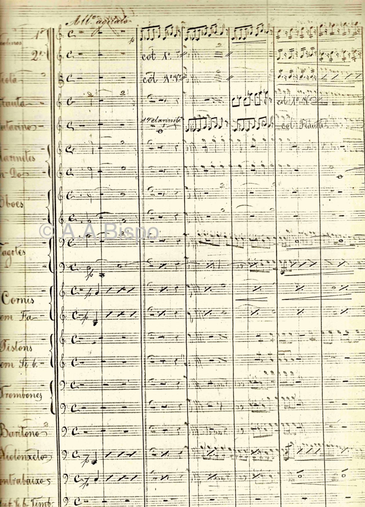 Sinfonia a grande orquestra Brasileira, de J. Pedro Gomes Cardim, músico português que atuou no Rio Grande do Sul à época da Guerra do Paraguai, transferindo-se depois para S. Paulo. Desempenhou importante papel na música sacra em S.Paulo. Os seus filhos marcaram a vida artística e o ensino em São Paulo durante muitas décadas do século XX. Pesquisas de A.A.Bispo da década de 1960.Acervo A.A.Bispo. Copyright