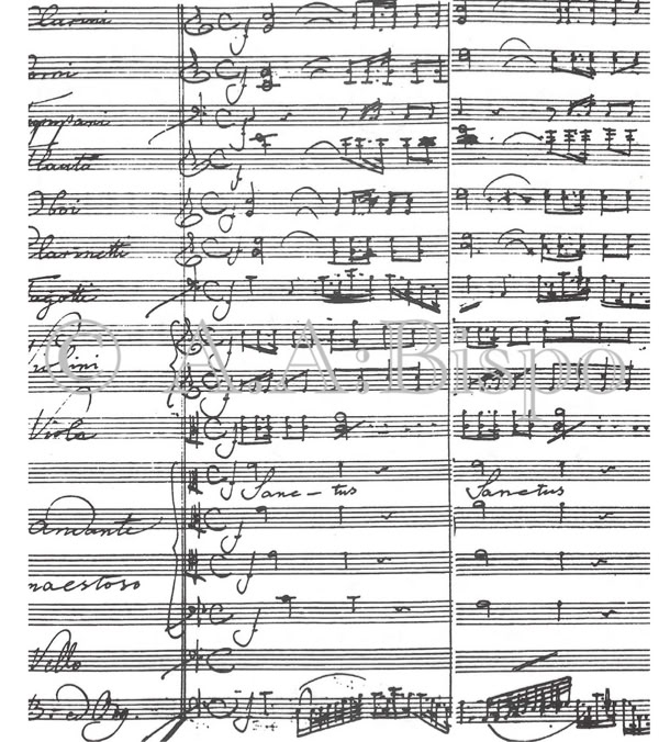 Missa sub titutlo Sti. Francisco de S. Neukomm. Sanctus